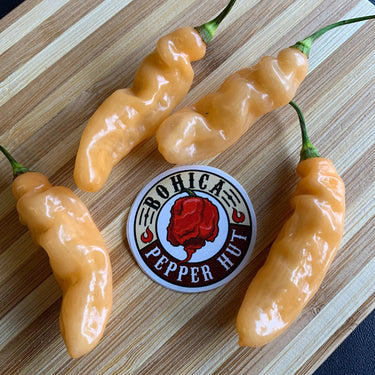 Lightning Habanero Peach - Seeds - The Pepper Pantry (Formerly Marie Sharp's)
